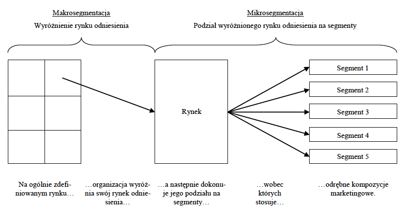 podział na mikrosegmentację i makrosegmentację